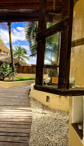 Wooden walkway leading to a palm-tree resort entrance