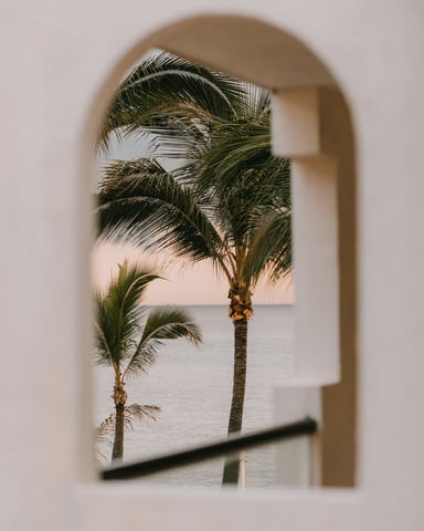Arched window framing palm trees and ocean at dusk