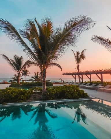 Infinity pool at sunset with palm trees and ocean view